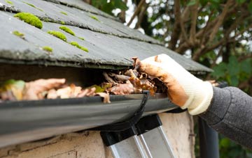 gutter cleaning Worthing