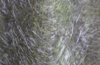 Worthing fibreglass roof work